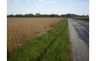 Property photo 8 - 75+/- Acres in 9 Tracts